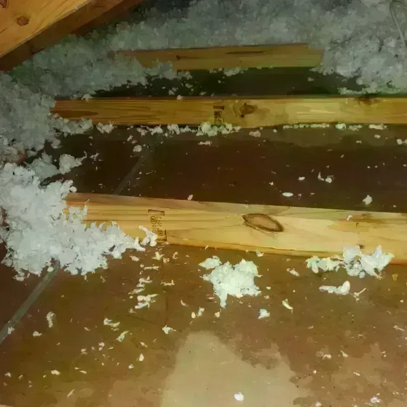 Attic Water Damage in Dallesport, WA